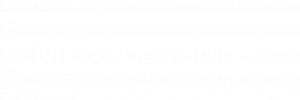 Microsoft Partner Network Managed I.T. services Provider